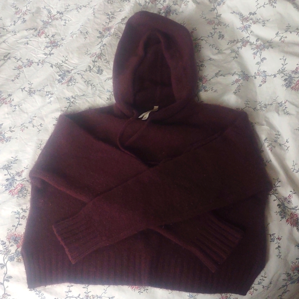 Babaton cashmere hoodie 🍷